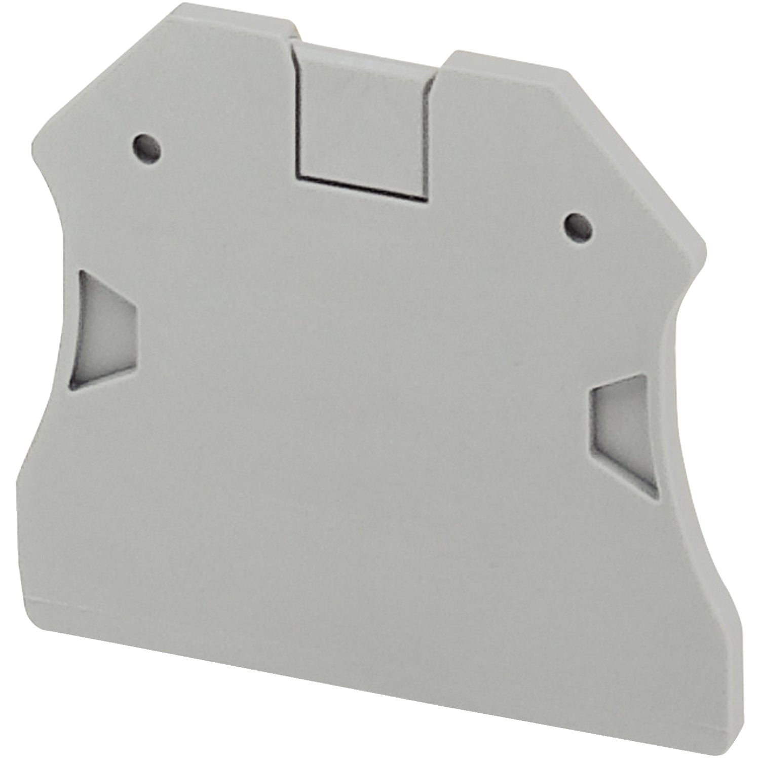 Placa Terminal. Accesorio de Marca Schneider Electric (NSYTRAC22) Para Borneras NSYTRV22, NSYTRV42, NSYTRV62, NSYTRV102, NSYTRV42NE, NSYTRV62NE, NSYTRV42PE, NSYTRV62PE y NSYTRV102PE.